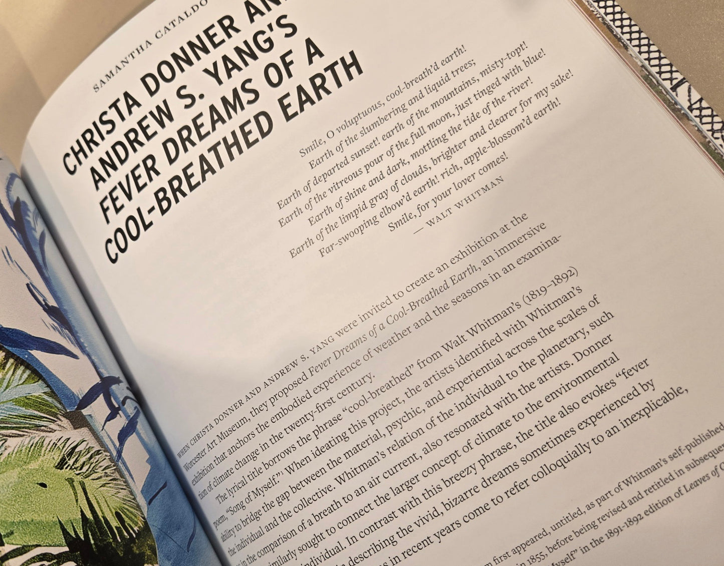 Facing the Elements - Catalogue