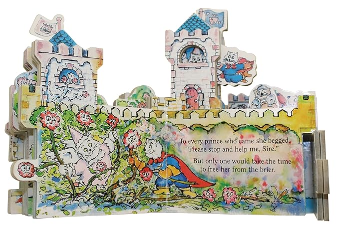 Mini House Castle Book