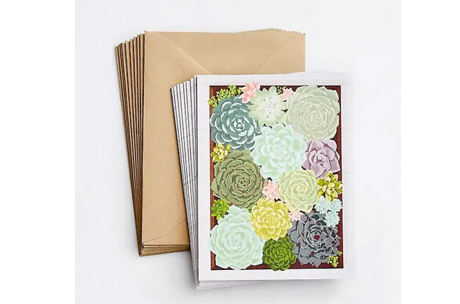 Succulents Notecard Set
