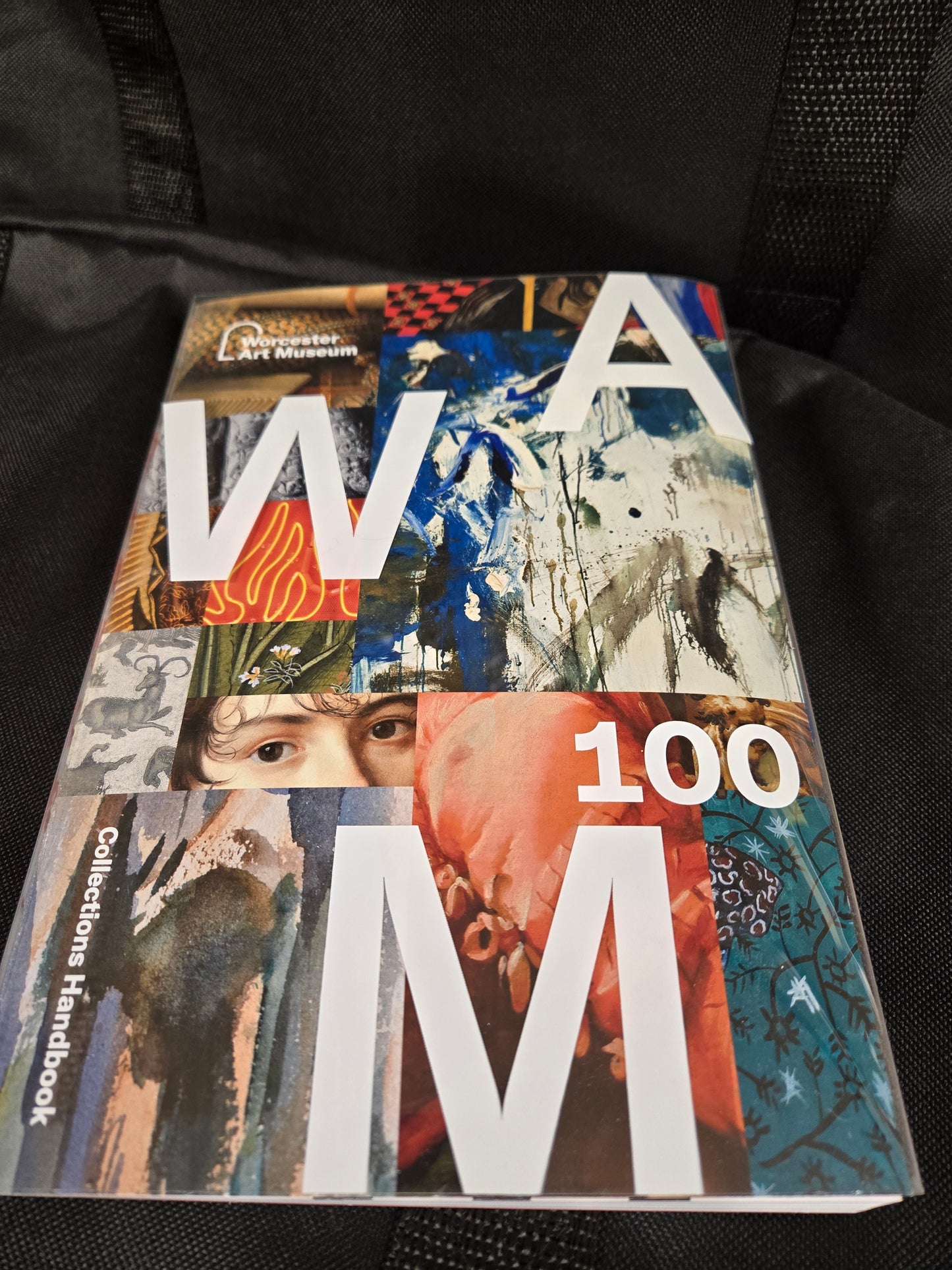 WAM 100