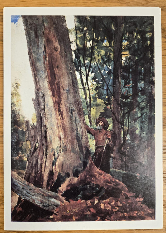 Homer - Old Friends Postcard