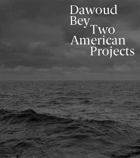 Two American Projects - Daewoud Bey