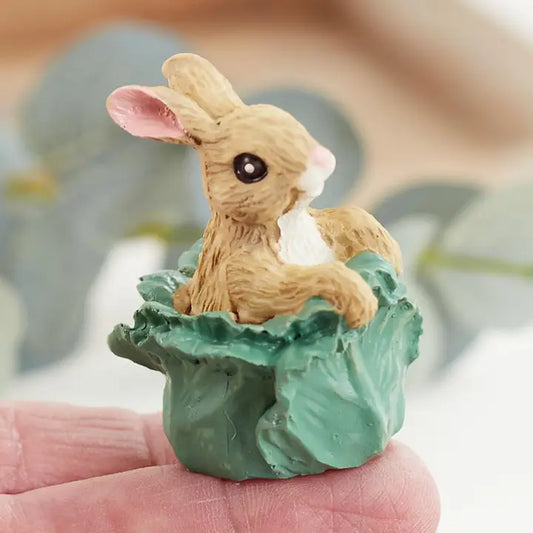 Bunny in Cabbage