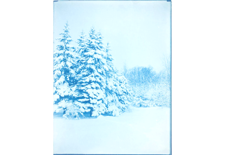 WAM Holiday Cards - Boxed
