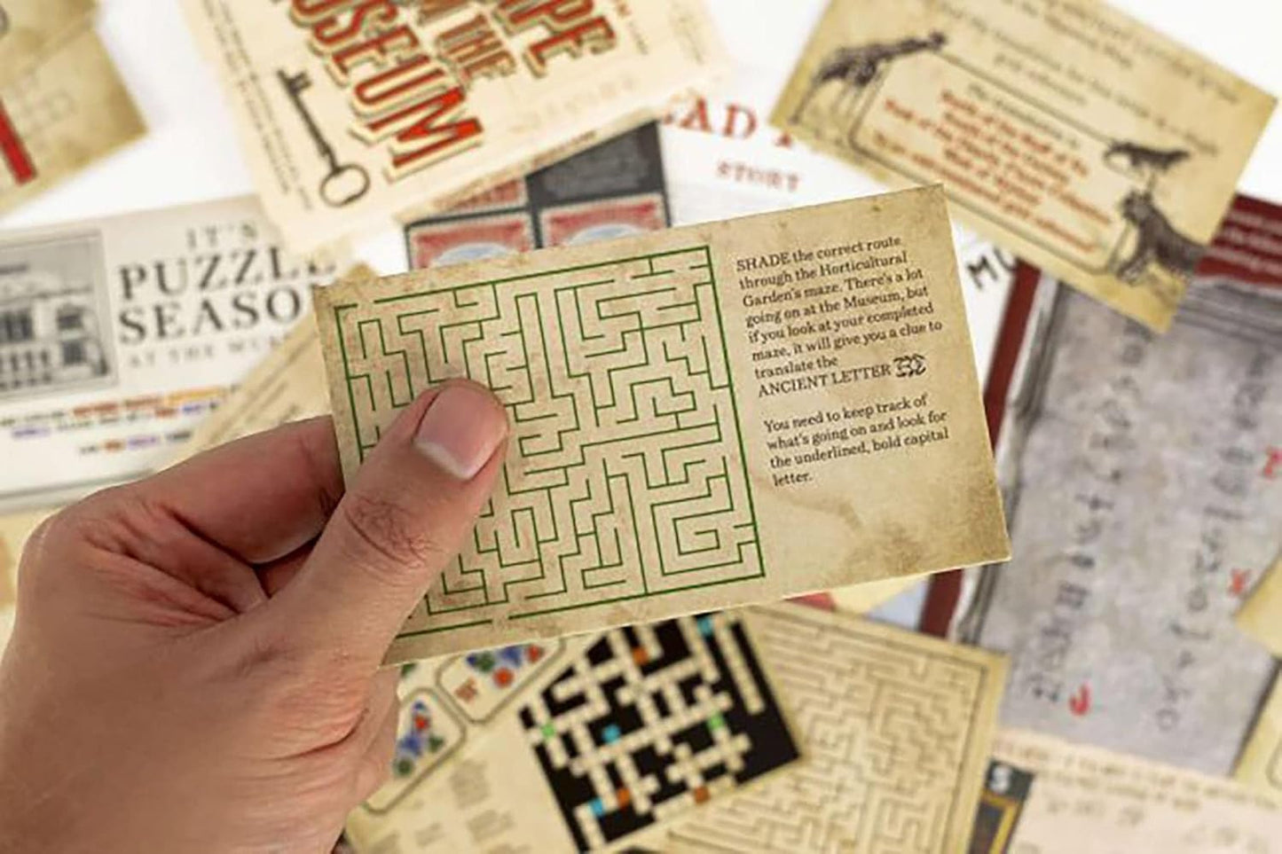 Escape from Museum Card Game