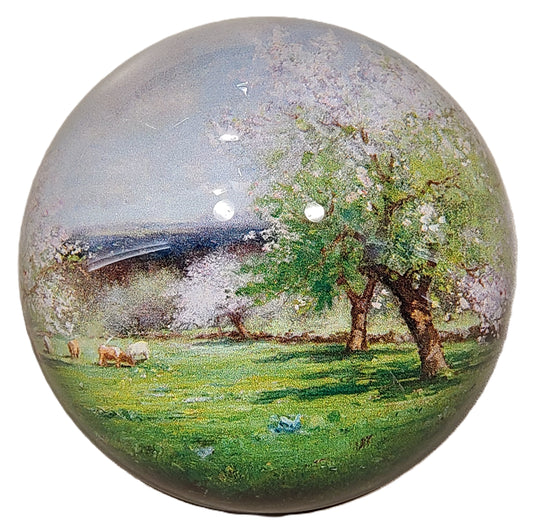 Glass Paperweight